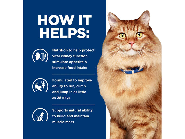 Hill's Prescription Diet k/d Kidney Care + Mobility Dry Cat Food