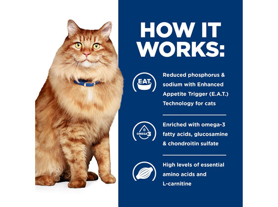 Hill's Prescription Diet k/d Kidney + j/d Mobility Care Dry Cat Food