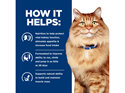 Hill's Prescription Diet k/d Kidney + j/d Mobility Care Dry Cat Food