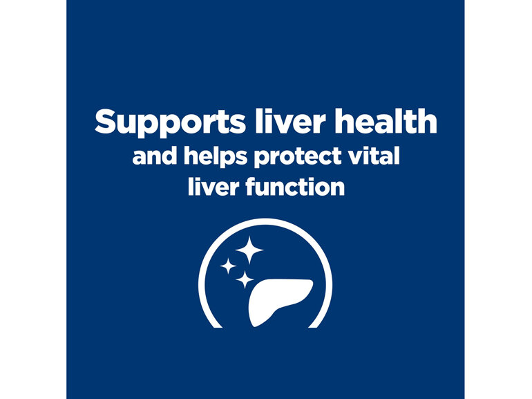 Hill's Prescription Diet l/d Liver Care Dry Dog Food