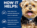 Hill's Prescription Diet l/d Liver Care Dry Dog Food