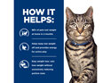 Hill's Prescription Diet Metabolic Weight Management Dry Cat Food