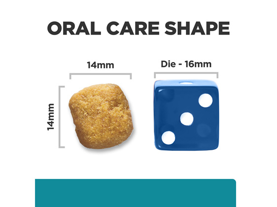 Hill's Prescription Diet t/d Small Bites Dental Care Dry Dog Food