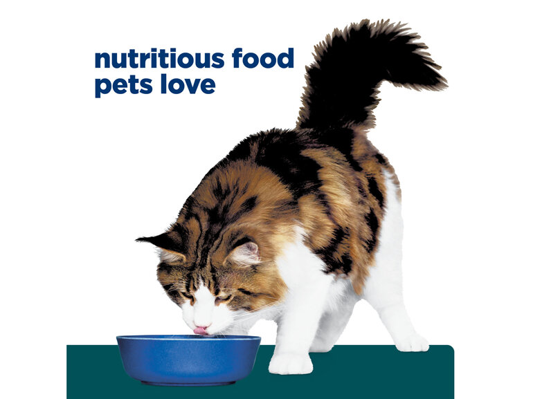 Hill's Prescription Diet w/d Multi-Benefit Dry Cat Food