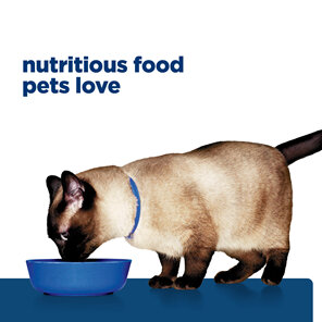 Hill's Prescription Diet z/d Skin/Food Sensitivities  Dry Cat Food