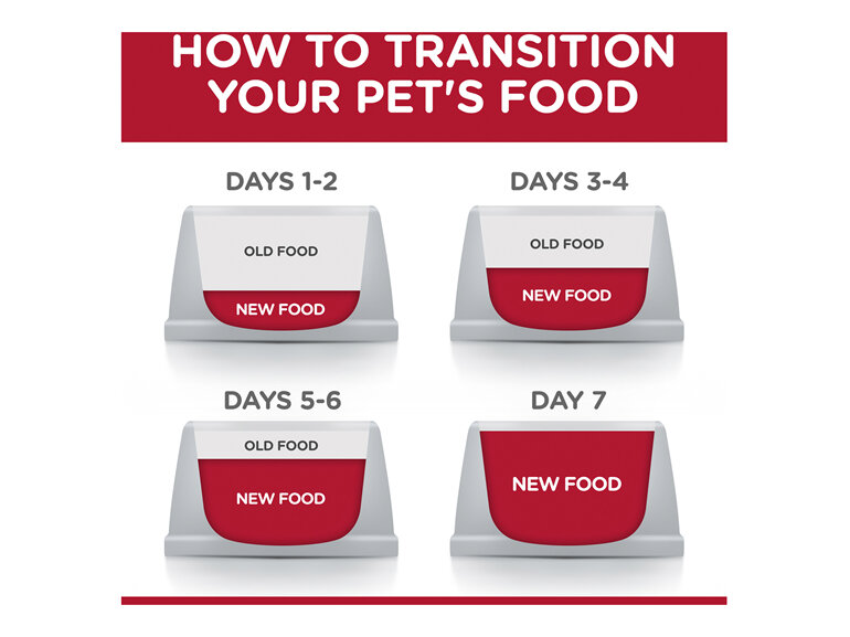 Hill's Science Diet Adult 11+ Indoor Dry Cat Food