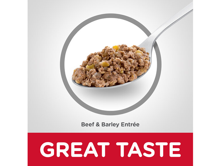 Hill's Science Diet Adult Beef & Barley Entrée Canned Dog Food, 370g, 12 Pack