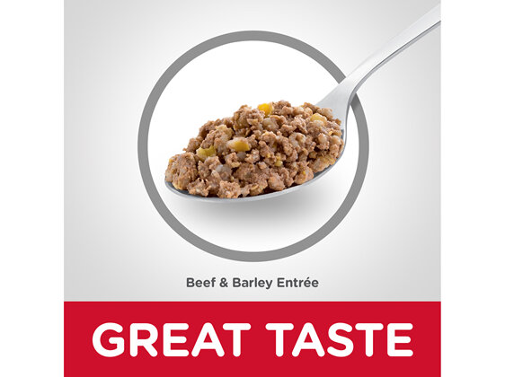 Hill's Science Diet Adult Beef & Barley Entrée Canned Dog Food, 370g, 12 Pack