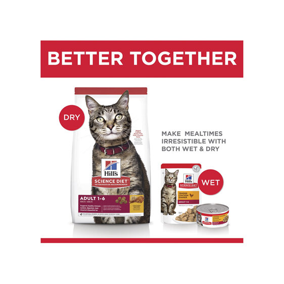 Hill's Science Diet Adult Dry Cat Food