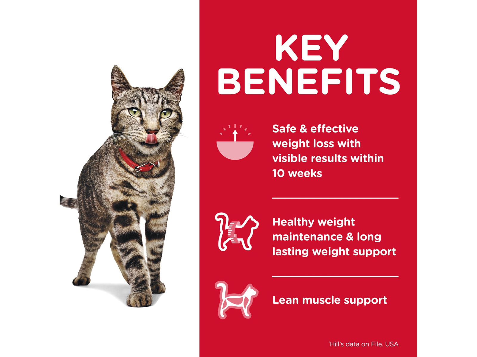 hill-s-science-diet-adult-perfect-weight-dry-cat-food-bay-veterinary-group-ltd