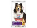 Hill's Science Diet Adult Sensitive Stomach & Skin Dry Dog Food