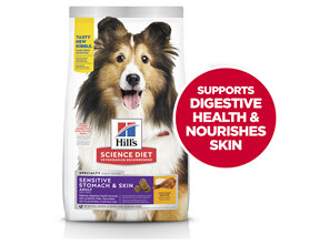 Hill's Science Diet Adult Sensitive Stomach & Skin Dry Dog Food