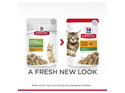 Hill's Science Diet Kitten Chicken Cat Food pouches