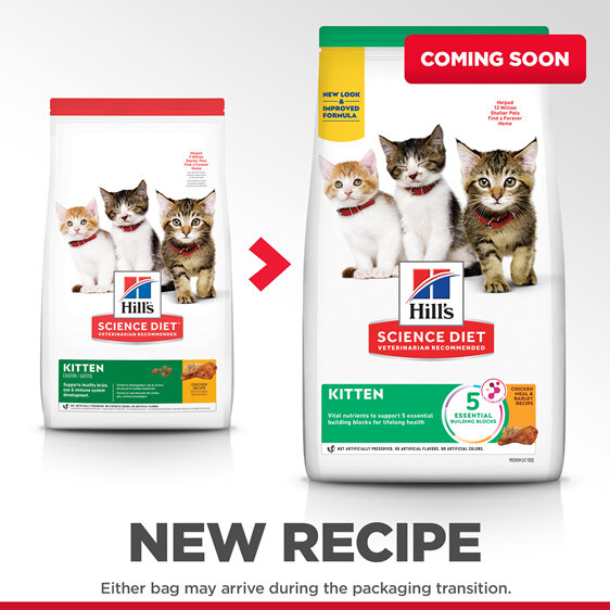 Hill's Science Diet Kitten Dry Cat Food