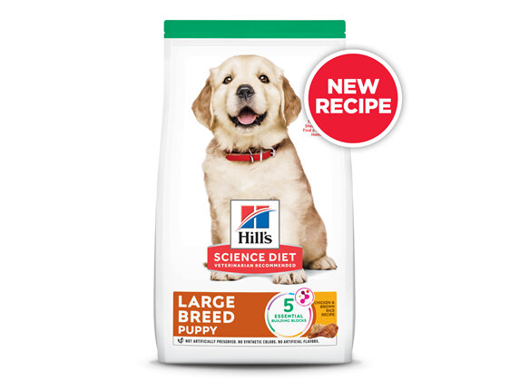 Hill's Science Diet Puppy Large Breed Dry Dog Food