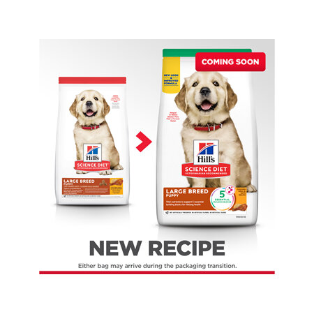 Hill's Science Diet Puppy Large Breed Dry Dog Food