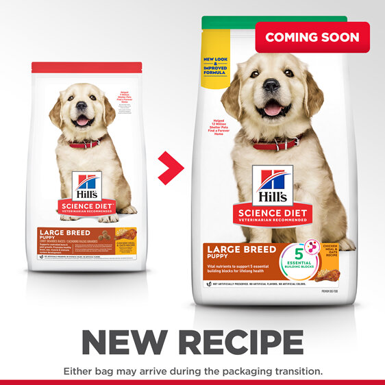 Hill's Science Diet Puppy Large Breed Dry Dog Food