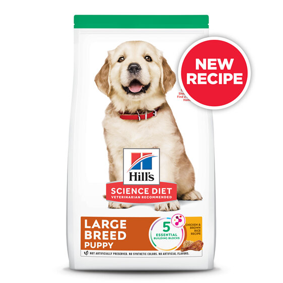 Hill's Science Diet Puppy Large Breed Dry Dog Food