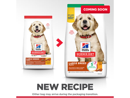 Hill's Science Diet Puppy Large Breed Dry Dog Food