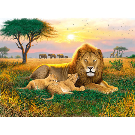 Holdson's 1000 Piece Jigsaw Puzzle:  Kings Of The Serengeti