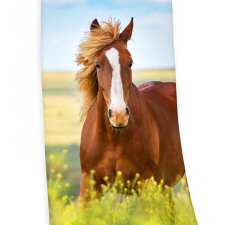 Horse Towel