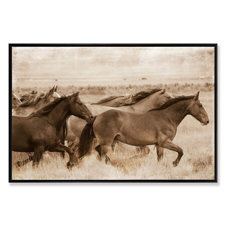 Horses Power and Beauty Framed Canvas Print 90x60 cm