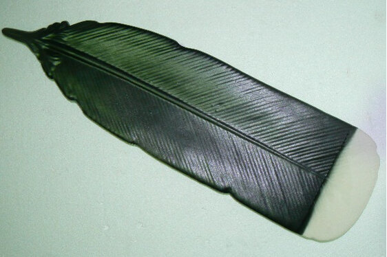 Huia Feather, Wall hanging, platter, NZ collectable ceramics