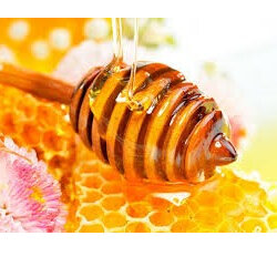 Huttons Honey Honey Raw Liquid White Clover - 4 Sizes