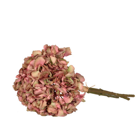 Hydrangea dried look pink 4567