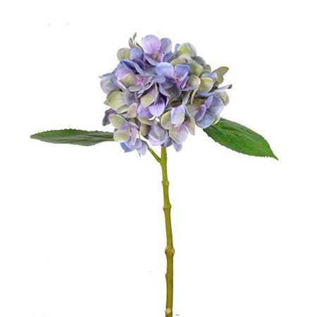 Hydrangea Isabella Lavender 4570