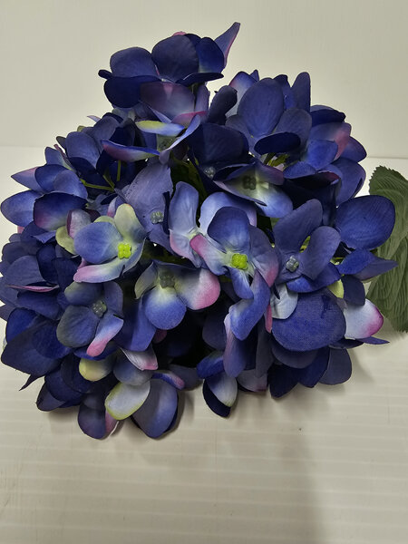 Hydrangea Mophead Blue 4638