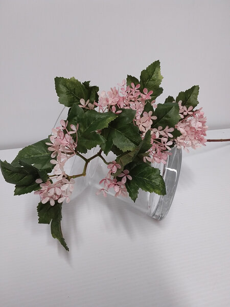 Hydrangea Weeping Lace Pink 4548