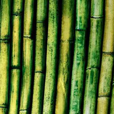Imaginings - Bamboo