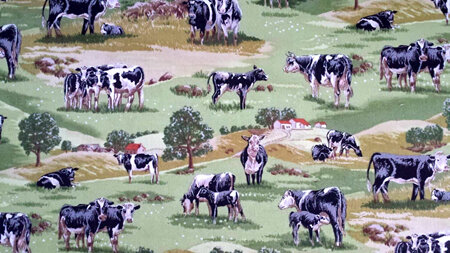 In The Country - Cows