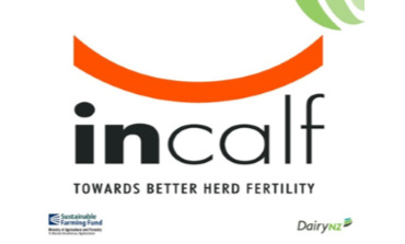 inCalf logo
