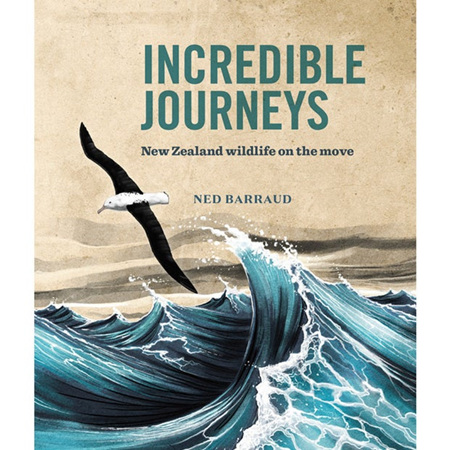 Incredible Journeys: New Zealand wildlife on the move