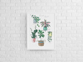 Indoor plant with Banana leaves in A3