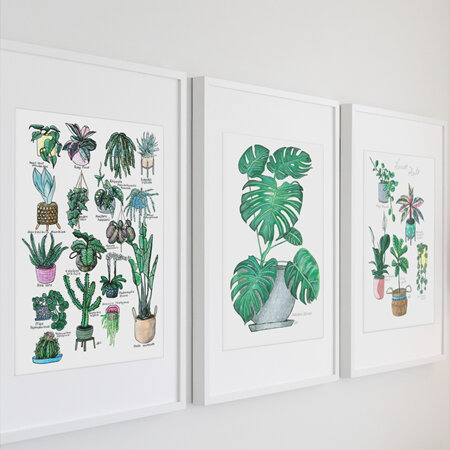 Indoor Plants  with Monstera Set of A3 Prints