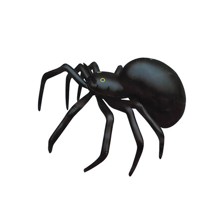 Inflatable spider