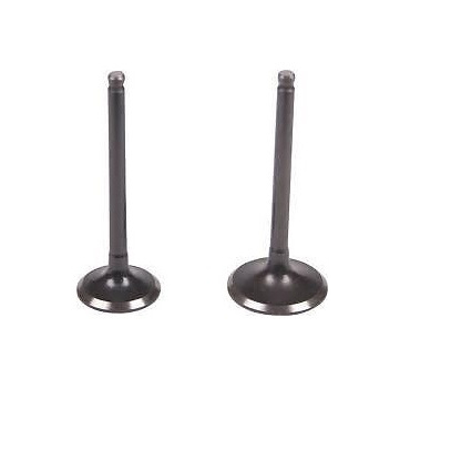 Intake an Exhaust Valves for 5.5hp and 6.5hp engines