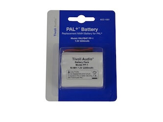 iPAL battery
