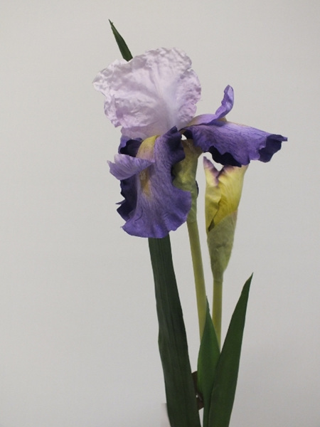 Iris Light Purple 4222