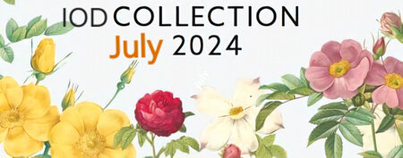 Iron Orchid Design New Release July 2024