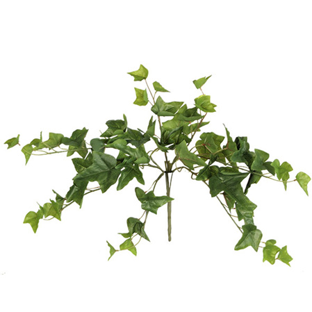 Ivy Trailing Bush 4447