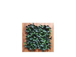 IVY WALL - artificial ivy wall 1/2 meter squares