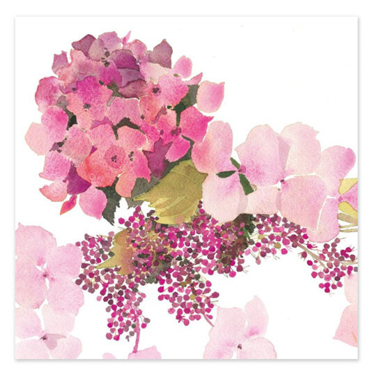 Jane Ormes An English Garden Card Pink Hydrangea