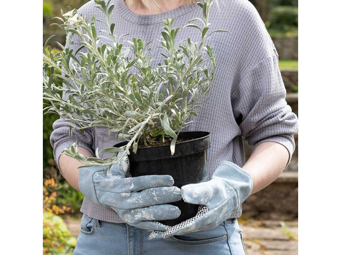 Jardinopia Beatrix Potter Peter Rabbit Gardening Gloves Adult