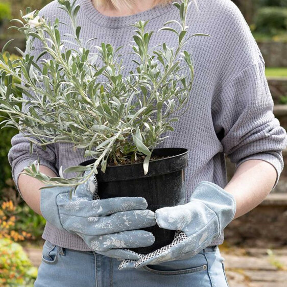 Jardinopia Beatrix Potter Peter Rabbit Gardening Gloves Adult
