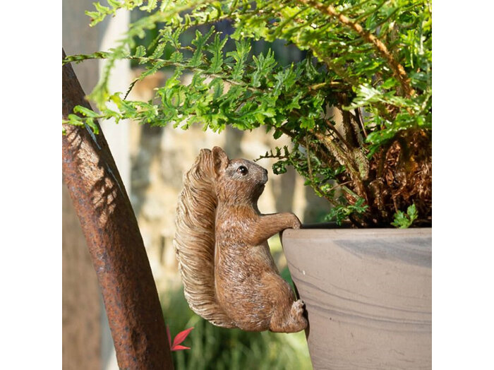 Jardinopia Beatrix Potter Pot Buddy Hanger Squirrel Nutkin plant garden