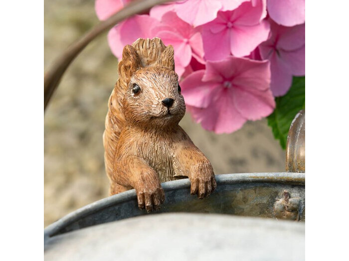 Jardinopia Beatrix Potter Pot Buddy Hanger Squirrel Nutkin plant garden